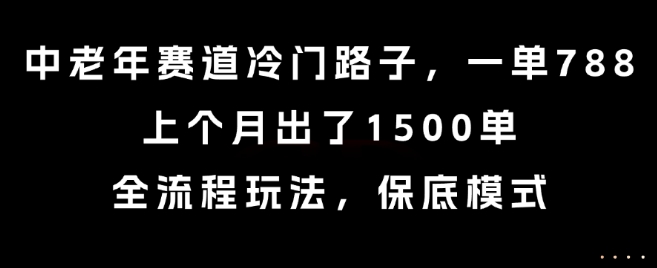 中老年赛道冷门路子，一单788，上个月出了1500单，全流程玩法，保底模式【揭秘】