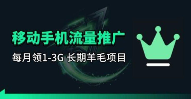 手机流量领取推广_每月一轮,刚需类的长期项目